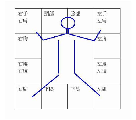 紫微斗數 身體部位|紫微斗数对应身体部位